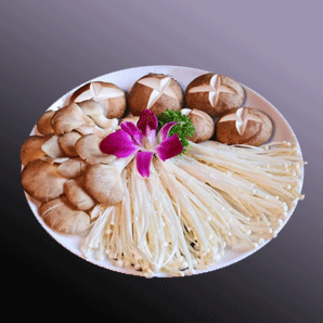 category